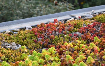 the cost of Bun Amhuillinn green roof installation